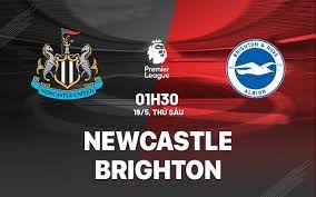 soi kèo Brighton với Newcastle